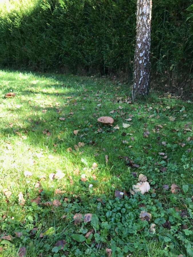 Domki Nad Stawem. Polańczyk Eksteriør bilde