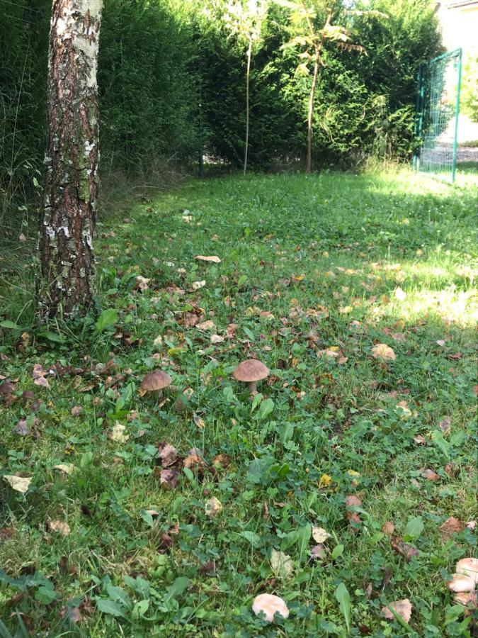 Domki Nad Stawem. Polańczyk Eksteriør bilde